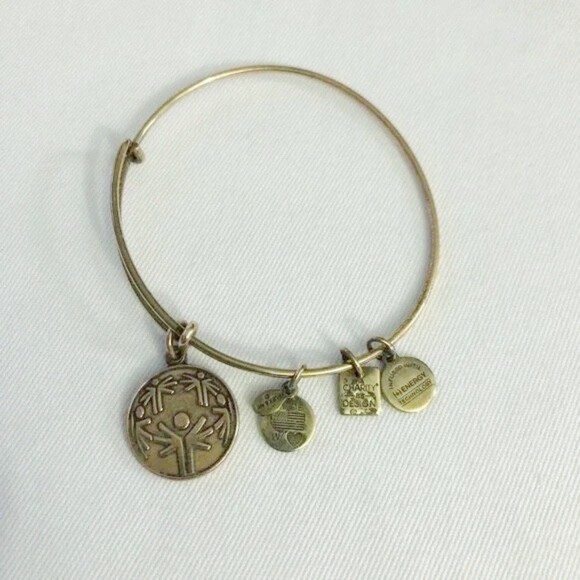 Alex & Ani Inspirational Gold Tone Bracelet - Picture 2 of 8